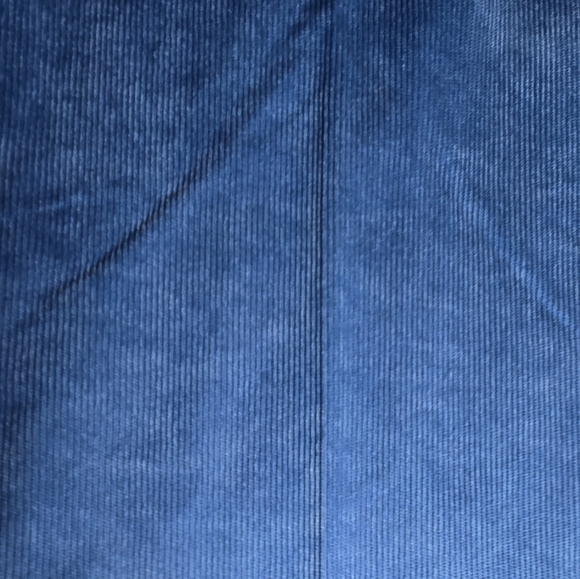 Alfred Dunner Womens Pants Powder Blue Corduroy Classic Fit Pull On Size 8P - Picture 13 of 16